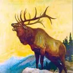 Winfield Galleries discount code